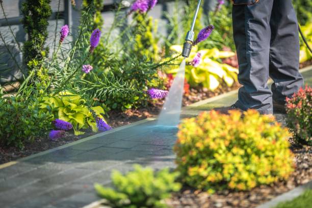 Mineville, NY Pressure Washing Services Company