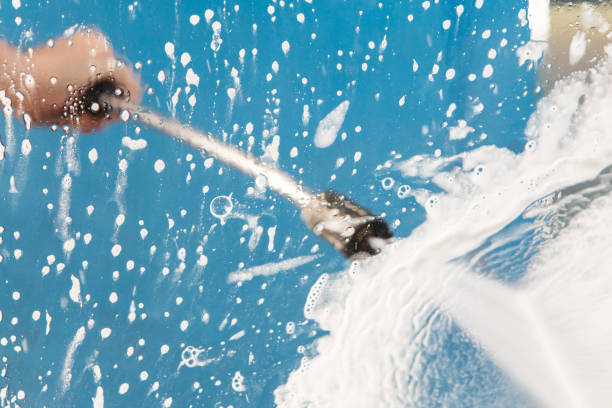 Best Animal Enclosure Cleaning  in Mineville, NY